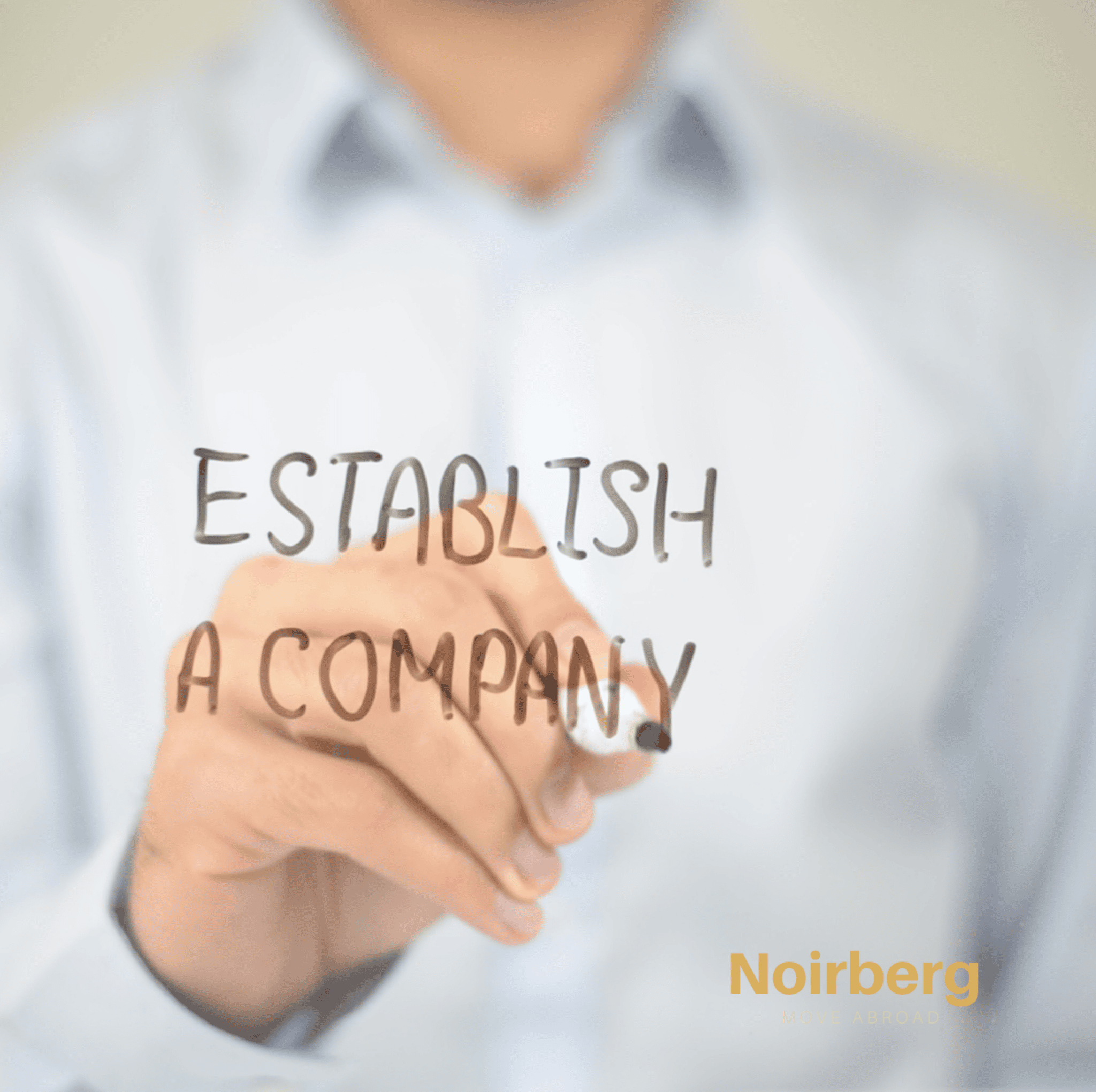 Limited Liability Company Establishment in Slovenia Noirberg